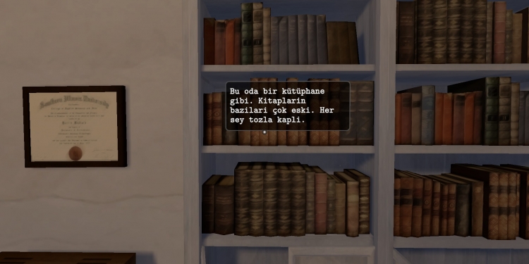 Dead Secret %100 Türkçe Yama